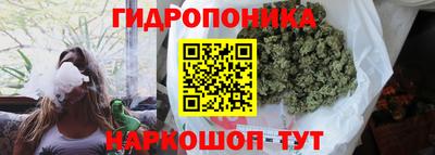 a pvp Владивосток