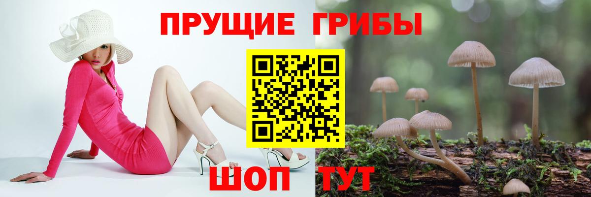 Галлюциногенные грибы мухоморы Можайск